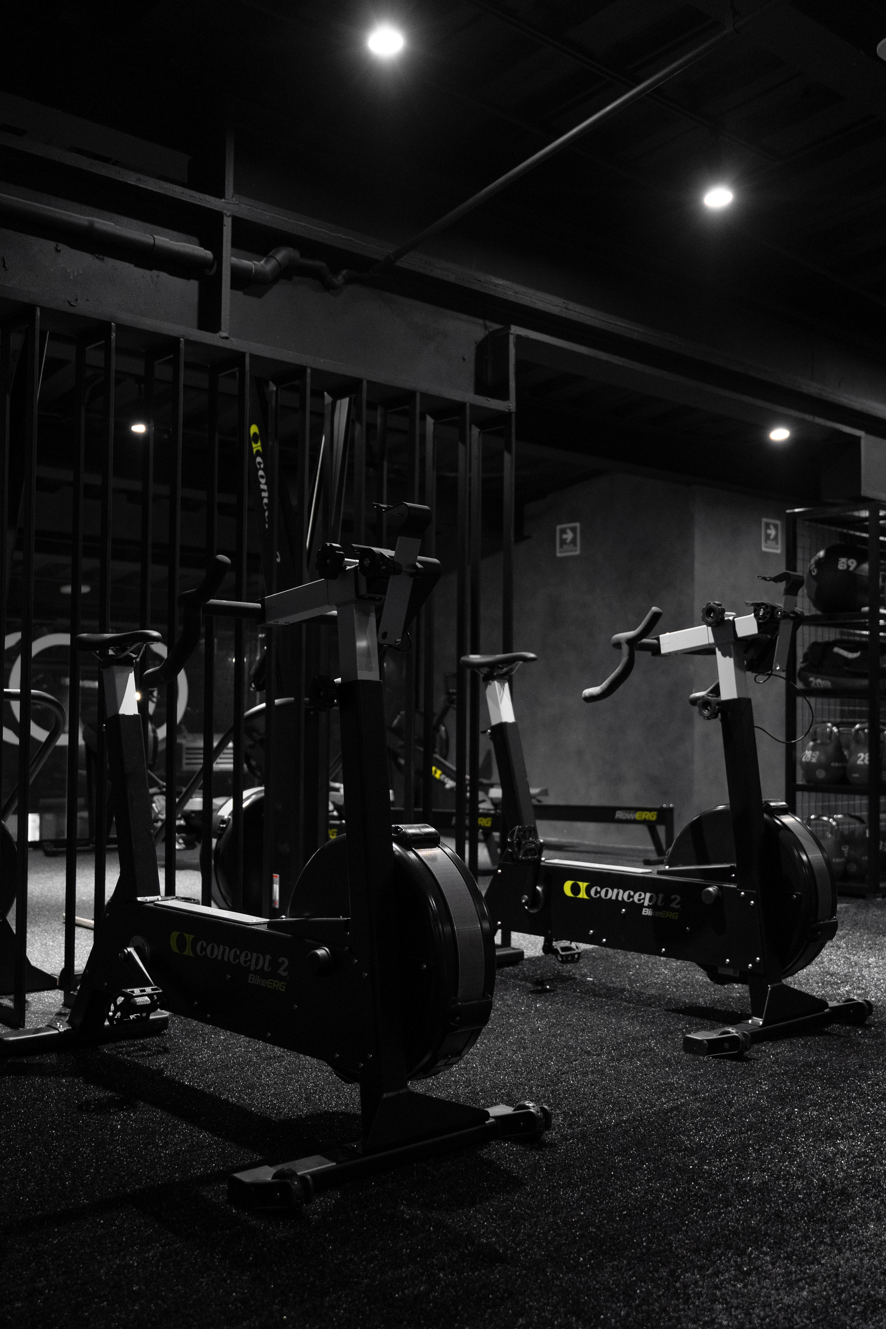 Premium gym training floor in San Pedro Garza García, Monterrey